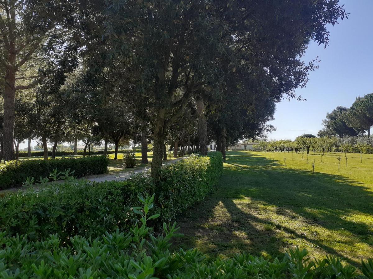 Silos Torrenova Potenza Picena Εξωτερικό φωτογραφία