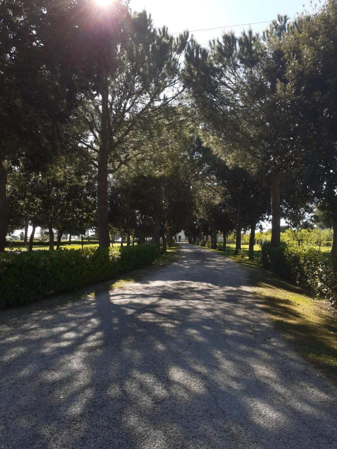 Silos Torrenova Potenza Picena Εξωτερικό φωτογραφία