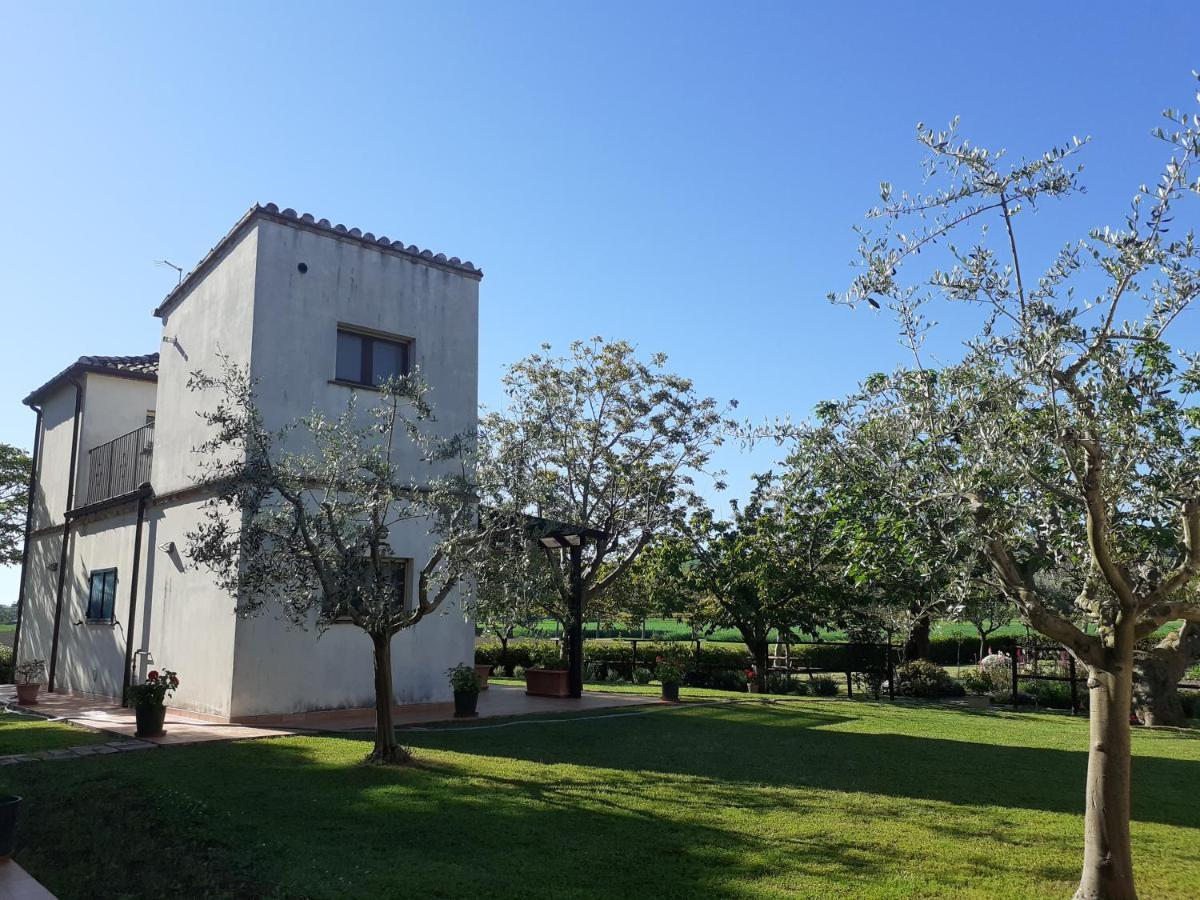 Silos Torrenova Potenza Picena Εξωτερικό φωτογραφία