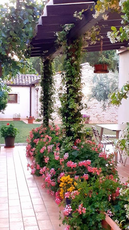 Silos Torrenova Potenza Picena Εξωτερικό φωτογραφία