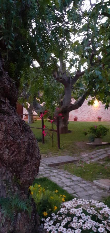Silos Torrenova Potenza Picena Εξωτερικό φωτογραφία