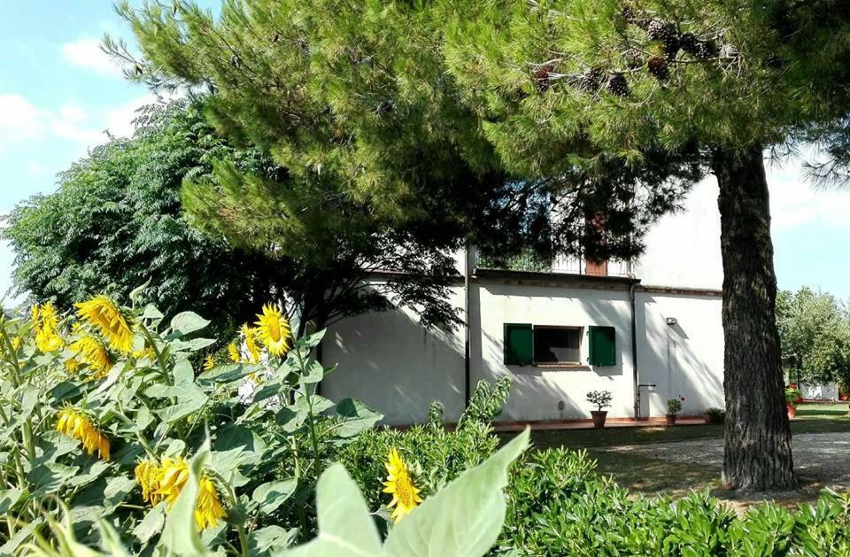 Silos Torrenova Potenza Picena Εξωτερικό φωτογραφία