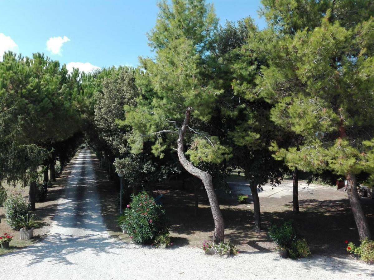 Silos Torrenova Potenza Picena Εξωτερικό φωτογραφία