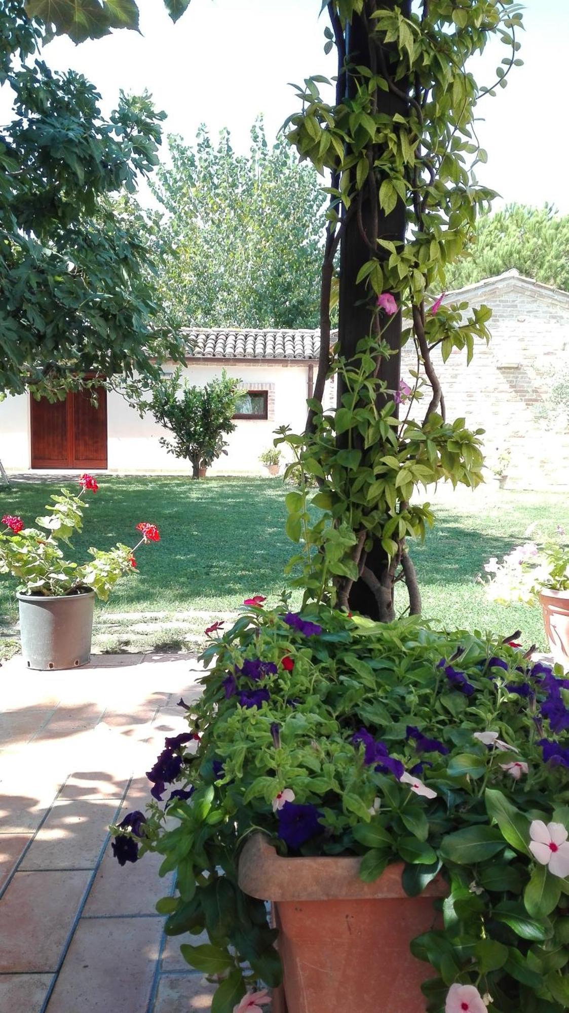 Silos Torrenova Potenza Picena Εξωτερικό φωτογραφία