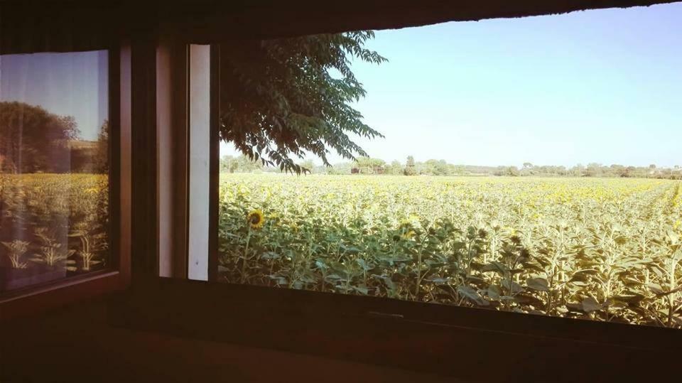Silos Torrenova Potenza Picena Εξωτερικό φωτογραφία