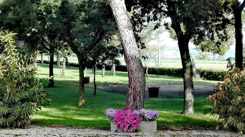 Silos Torrenova Potenza Picena Εξωτερικό φωτογραφία